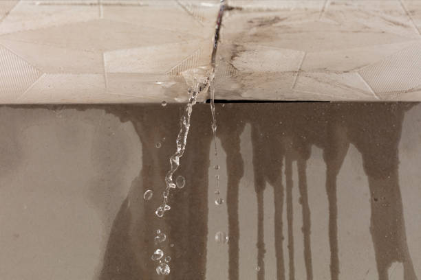 Professional Structural Drying technician working in Hadlyme, CT